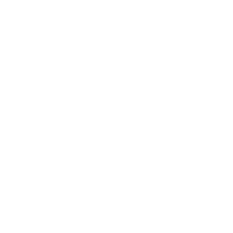 Healthcare Executive Leadership